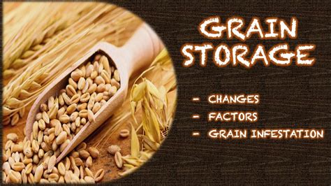 Grain Storage - YouTube