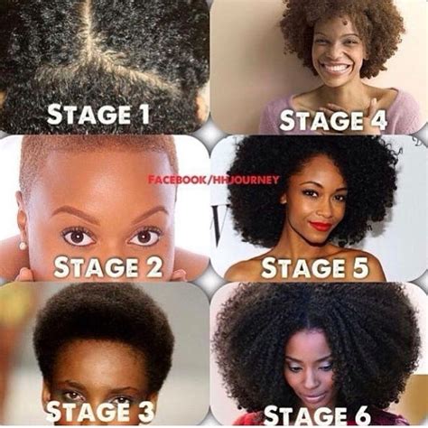 I'm at stage 1 (transitioning) #HairJNS | Hair stages, Natural hair ...