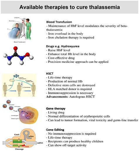 Novel genetic therapeutic approaches for modulating the severity of β‑thalassemia (Review)