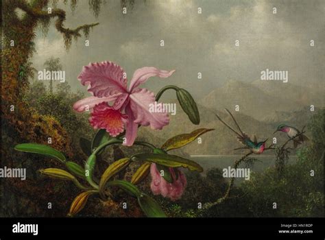 Martin Johnson Heade, Orchids and Hummingbirds, signed M.J. Heade, l.l ...