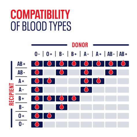 Blood types - Worksheets Library