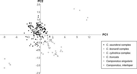 Caste-specific morphological modularity in the ant tribe Camponotini (Hymenoptera, Formicidae ...