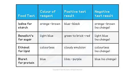 Edexcel IGCSE Biology: Double Science 复习笔记 2.3.2 Practical: Food Tests