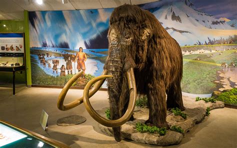 La Brea Tar Pits Info & Review - Travel Caffeine