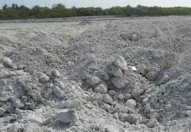 Calcareous Soils: సున్నం అధికంగా ఉన్న నేలల్లో యాజమాన్యం