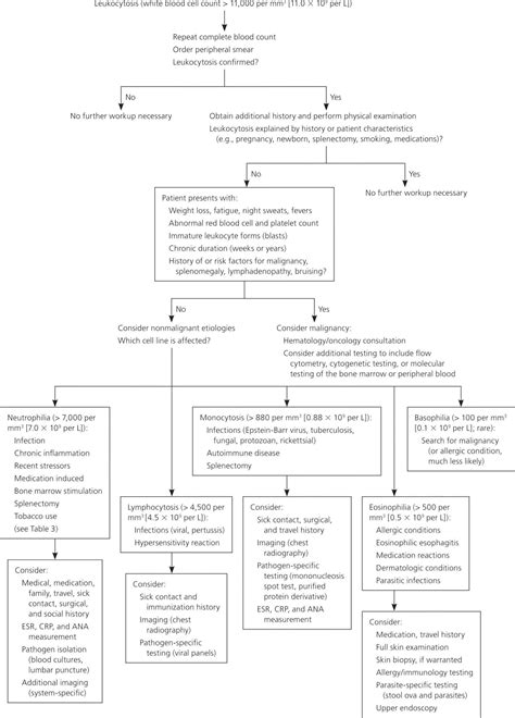 Leukocytosis definition, causes, symptoms, diagnosis & leukocytosis treatment