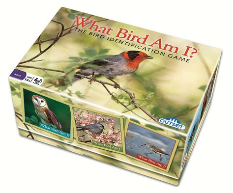 Wanna Play? Bird-Themed Games for the Whole Family – Chirp Nature Center