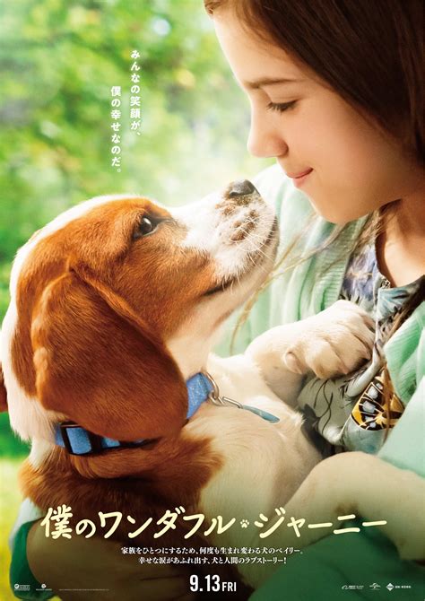 A Dog'S Journey Poster – Amat