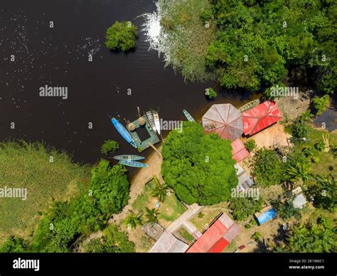 Aerial view of a local guest house in the amazon rainforest with a little pier and small wooden ...