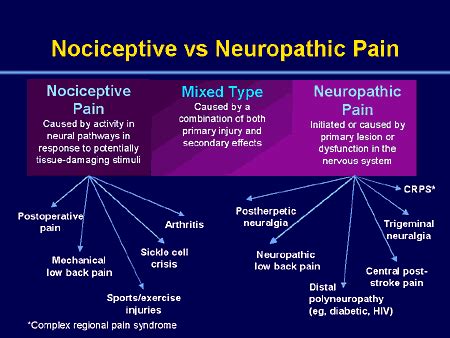 Nociceptive Pain