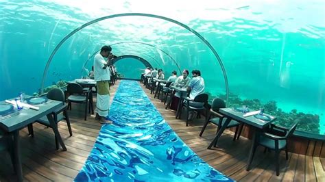 360 Video Hurawalhi Maldives Underwater Restaurant - YouTube