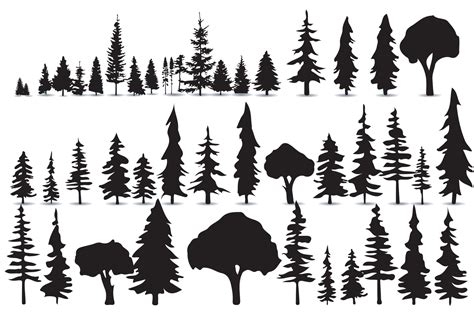 Vector collection of black pine trees on white background 23652048 ...