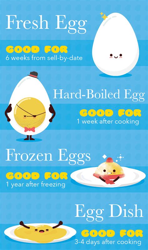 The Ultimate Guide to Egg Nutrition | BODi