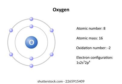 Oxygen Atomic Structure Atomic Mass Atomic Stock Vector (Royalty Free) 2265915409 | Shutterstock