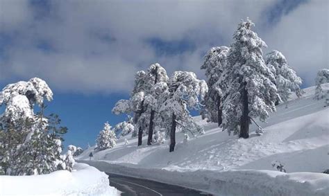 Snow still on Troodos Mountain | in-cyprus.com