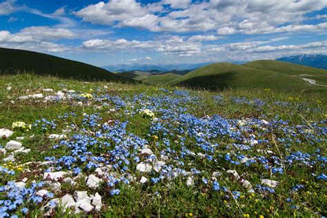 Abruzzo National Park, Gran Sasso, Marsican Brown Bears and nature