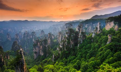 Zhangjiajie National forest park at sunset, Wulingyuan, Hunan, China ...