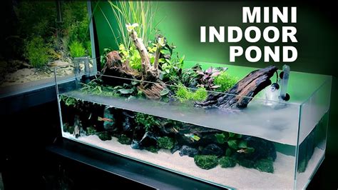 Indoor Water Garden With Fish