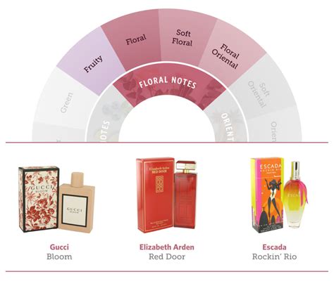 Your Guide to the Fragrance Wheel and Scent Families