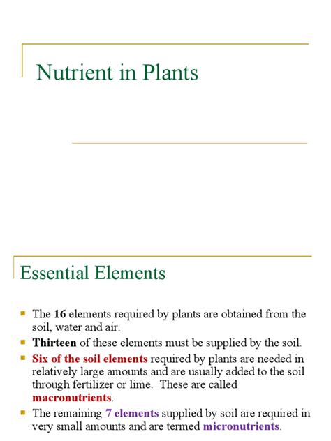 Nutrients in Plants | PDF