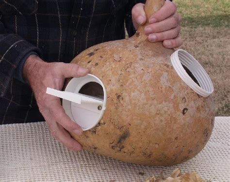 birdhouse-gourds-drying | Gourds birdhouse, Bird houses, Gourds