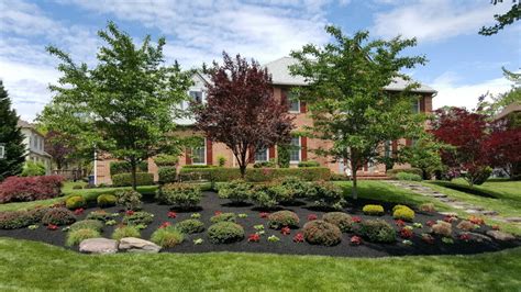 Native Plants Lead to a Lasting Landscape | NA Landscaping and Design