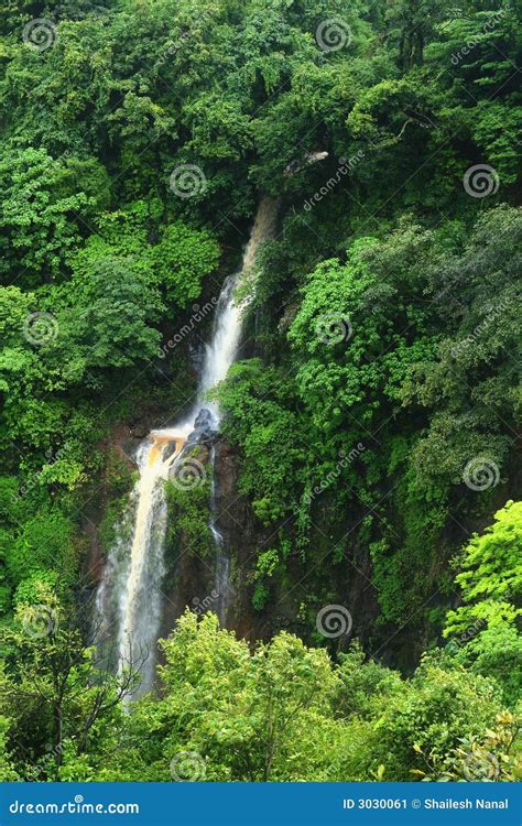 Waterfall in Mountain Forest Stock Image - Image of stream, dense: 3030061