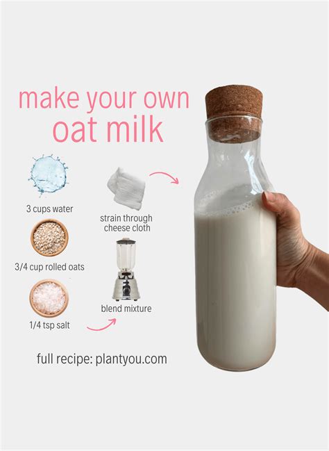 Vegan Oat Milk Recipe - Plant You - Blog Article - Milk Alternatives