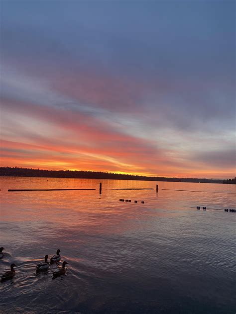 Sunset from Lake Washington this evening : r/Seattle