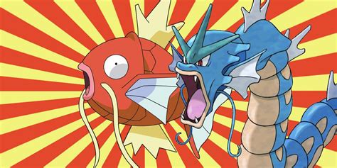 Pokémon 15 Things You Never Knew About Magikarp (And Gyarados) - pokemonwe.com