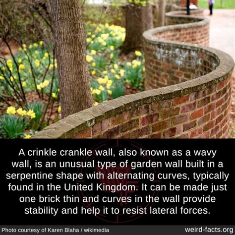 A crinkle crankle wall, also known as a wavy wall, is an unusual type ...