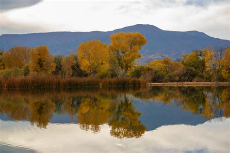 2023 Fall Colors Across the Valley - Journalaz.com