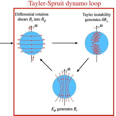 Schematic representation of the different stages of our magnetar... | Download Scientific Diagram