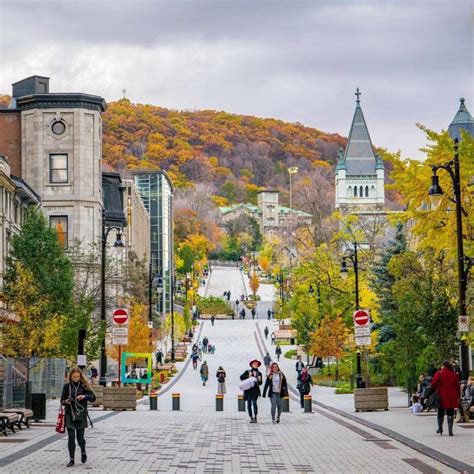 McGill named one of the top 50 universities in the world | News