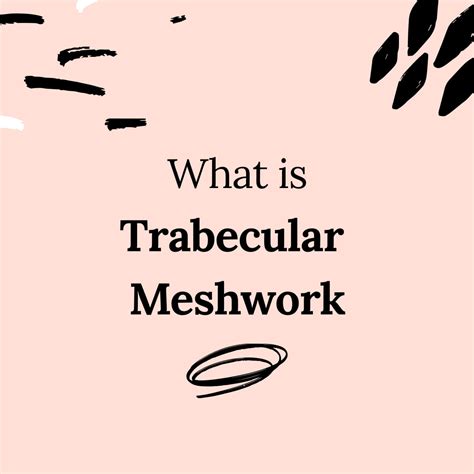 Trabecular Meshwork - CorneaCare