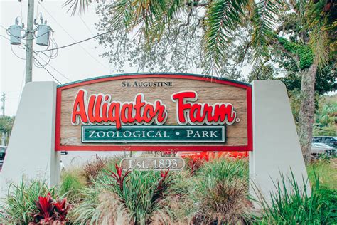 St. Augustine Alligator Farm Zoological Park - Date Your State