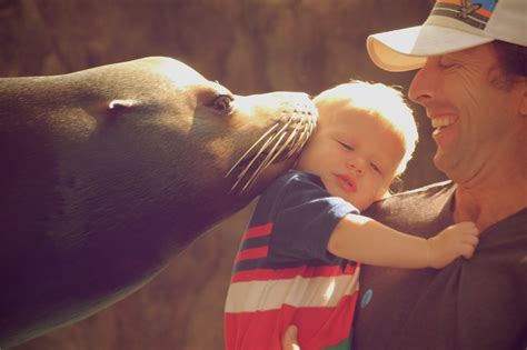 A sea lion kiss at the Mazatlan Aquarium (photo cost 25 pesos). Lowe 16-months-old. | Aquarium ...