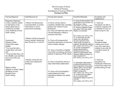 Nursing Care Plan- UTI - carol scotto - The University of Akron School ...