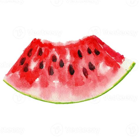 watercolor hand painted slice of watermelon 6241524 Stock Photo at Vecteezy