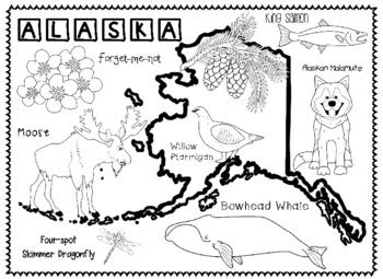 Alaska's State Symbols by Connecting with Social Studies | TpT