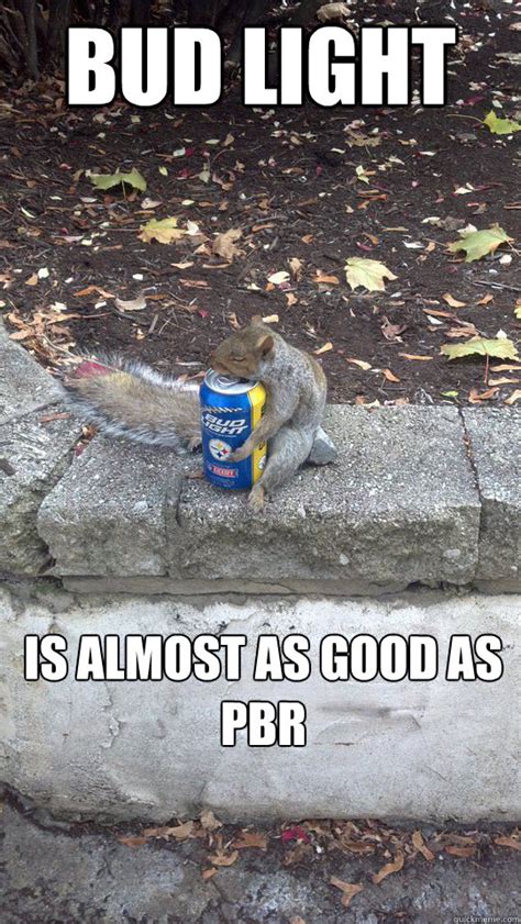 Bud Light is almost as good as PBR - Drunk Squirrel - quickmeme