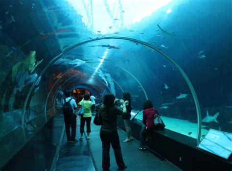 Sea Life London Aquarium - Priority Admission | London attractions, London tourist attractions ...