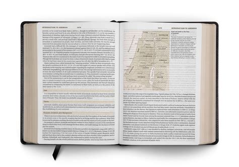 ESV Study Bible, Large Print (Trutone, Black) - English Standard Version - 9781433568800 ...