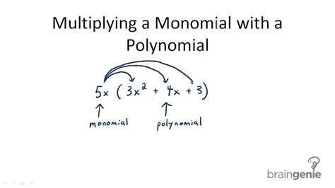 Multiplication of Monomials by Polynomials | CK-12 Foundation