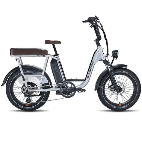 The Rad Power Electric Bike Is Ideal for Commutes and Adventures