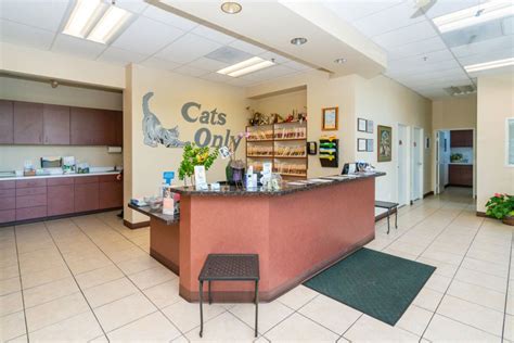 Cat Vet Near Me Rocklin, CA | Cats Only Veterinary Hospital