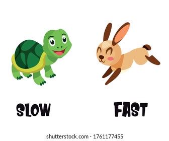 Fast And Slow Animals