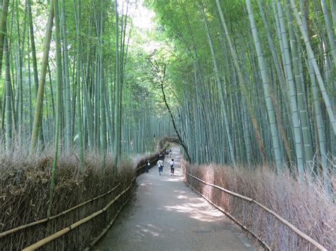 Arashiyama Bamboo Grove 5 | Temporarily Lost