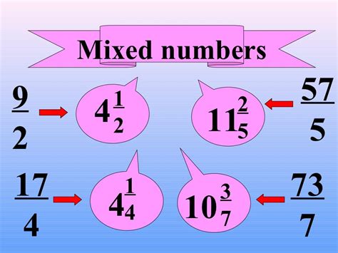 Numerator And Denominator Fractions