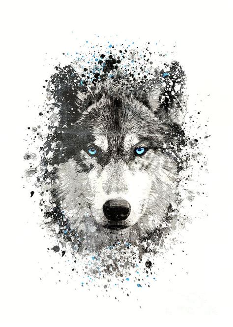 Beautiful White Wolf With Blue Eyes Drawing - bmp-place